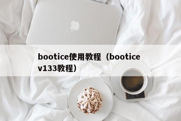 bootice使用教程(bootice v133教程)