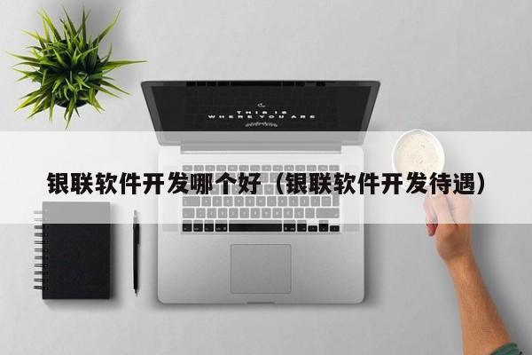银联软件开发哪个好（银联软件开发待遇）