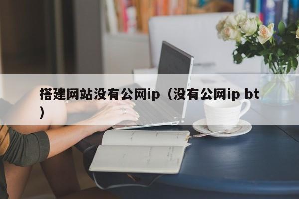 搭建网站没有公网ip(没有公网ip bt)