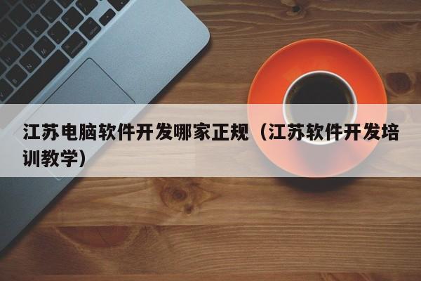 江苏电脑软件开发哪家正规（江苏软件开发培训教学）